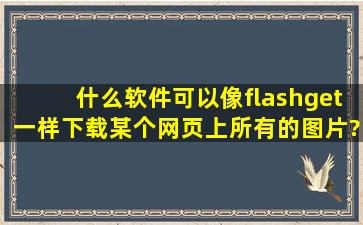 什么软件可以像flashget一样下载某个网页上所有的图片?