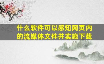 什么软件可以感知网页内的流媒体文件并实施下载