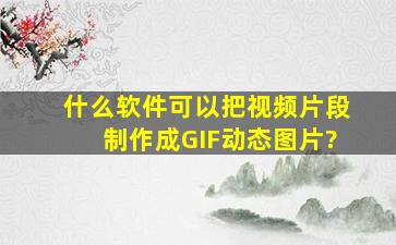 什么软件可以把视频片段制作成GIF动态图片?