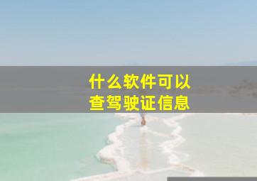 什么软件可以查驾驶证信息