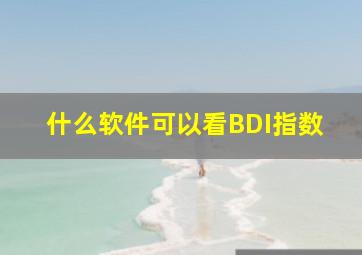 什么软件可以看BDI指数