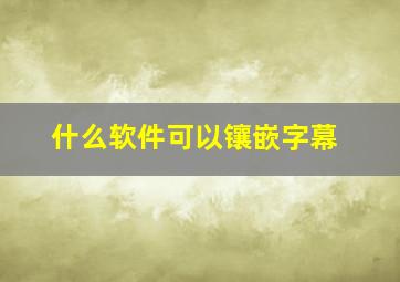 什么软件可以镶嵌字幕