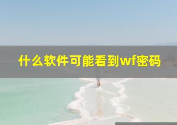 什么软件可能看到wf密码