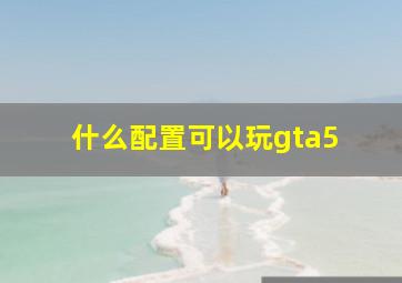 什么配置可以玩gta5 