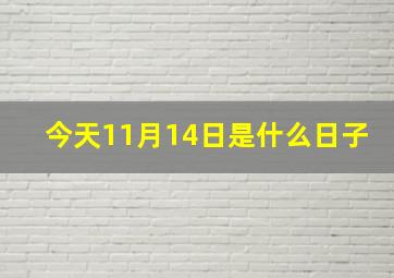 今天(11月14日)是什么日子