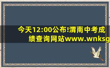 今天12:00公布!渭南中考成绩查询网站(www.wnksgl.com)