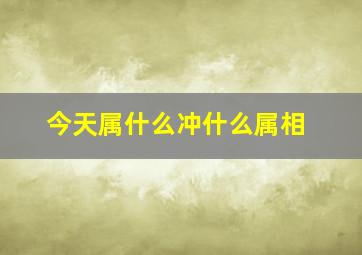 今天属什么冲什么属相