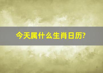 今天属什么生肖日历?