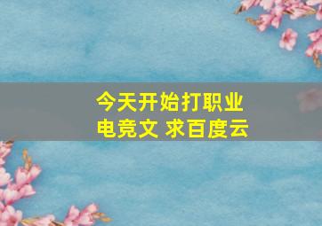 今天开始打职业 电竞文 求百度云