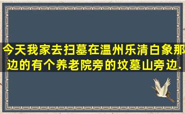 今天我家去扫墓在温州乐清白象,那边的有个养老院旁的坟墓山,旁边...