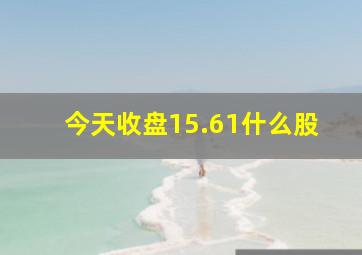 今天收盘15.61什么股