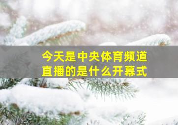 今天是中央体育频道直播的是什么开幕式