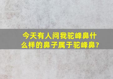 今天有人问我驼峰鼻,什么样的鼻子属于驼峰鼻?