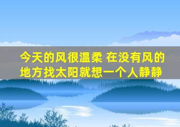 今天的风很温柔 ,在没有风的地方找太阳,就想一个人静静 