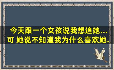 今天跟一个女孩说我想追她...可 她说不知道我为什么喜欢她...我该怎么说