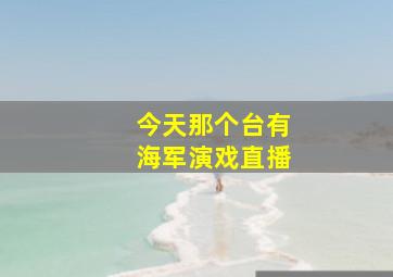 今天那个台有海军演戏直播