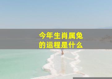 今年生肖属兔的运程是什么(