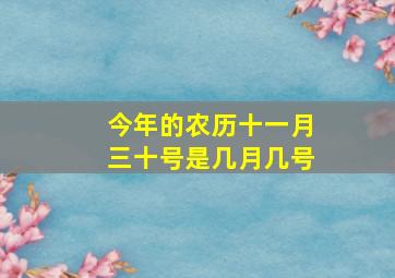 今年的农历十一月三十号是几月几号(