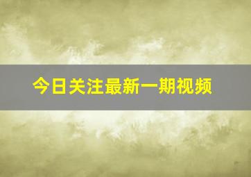 今日关注最新一期视频