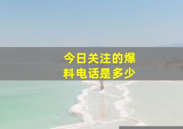 今日关注的爆料电话是多少(