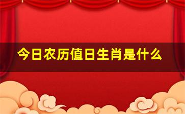 今日农历值日生肖是什么