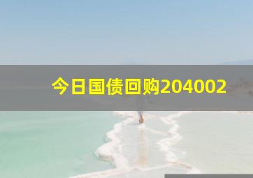 今日国债回购204002