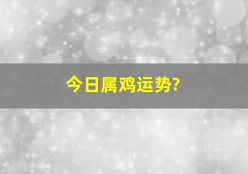 今日属鸡运势?