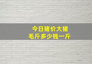 今日猪价大猪毛斤多少钱一斤(