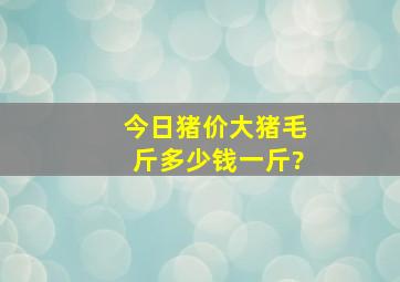 今日猪价大猪毛斤多少钱一斤?