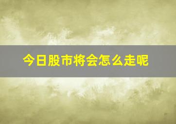 今日股市将会怎么走呢