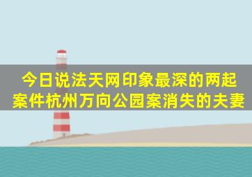 今日说法天网印象最深的两起案件《杭州万向公园案》《消失的夫妻》