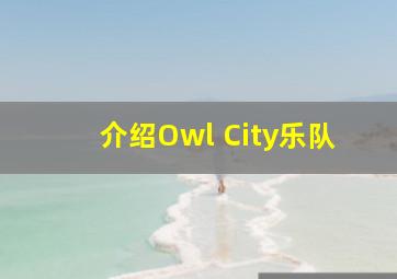 介绍Owl City乐队