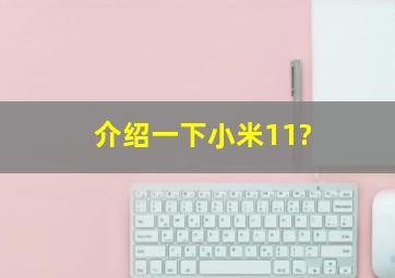 介绍一下小米11?