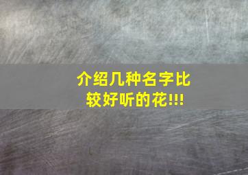 介绍几种名字比较好听的花!!!