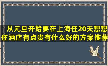 从元旦开始要在上海住20天,想想住酒店有点贵,有什么好的方案推荐,既...