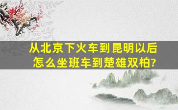 从北京下火车到昆明以后怎么坐班车到楚雄双柏?