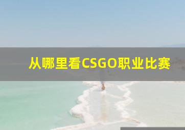 从哪里看CSGO职业比赛