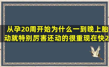 从孕20周开始为什么一到晚上胎动就特别厉害还动的很重现在快24周