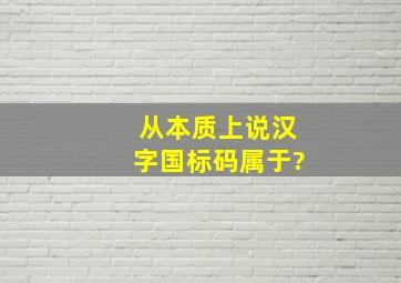 从本质上说,汉字国标码属于?