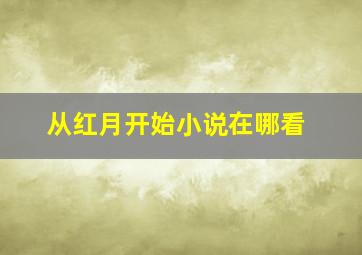 从红月开始小说在哪看