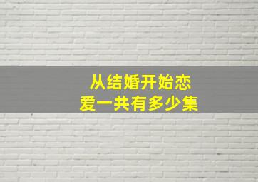 从结婚开始恋爱一共有多少集