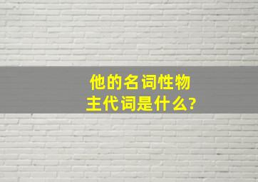 他的名词性物主代词是什么?