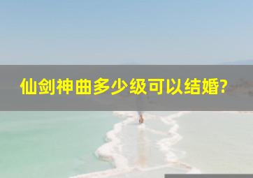 仙剑神曲多少级可以结婚?