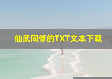 仙武同修的TXT文本下载