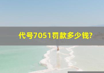 代号7051罚款多少钱?