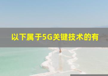 以下属于5G关键技术的有()。