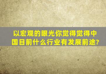 以宏观的眼光,你觉得觉得中国目前什么行业有发展前途?