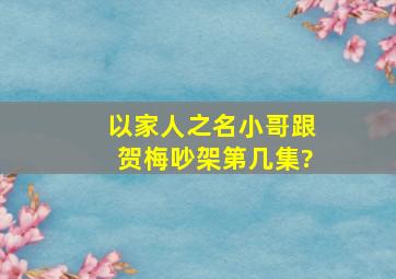 以家人之名小哥跟贺梅吵架第几集?