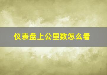 仪表盘上公里数怎么看