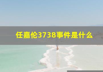 任嘉伦3738事件是什么(